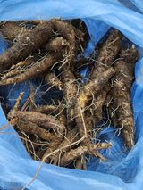 팜모닝 기타작물·영농일지 게시글 이미지