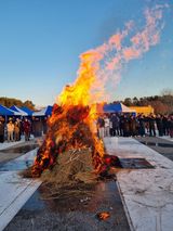 팜모닝 기타작물·영농일지 게시글 이미지