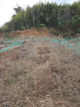 스산촌놈님의 기타작물 · 영농일지 작성글 사진