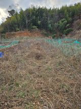 팜모닝 기타작물·영농일지 게시글 이미지