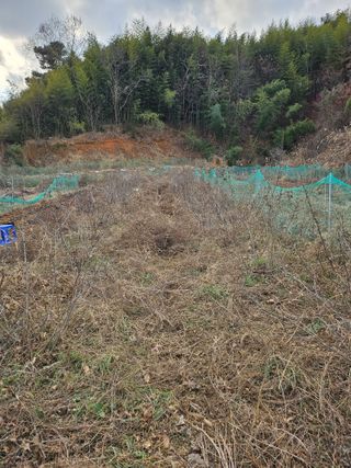 스산촌놈님의 기타작물 · 영농일지 작성글 사진