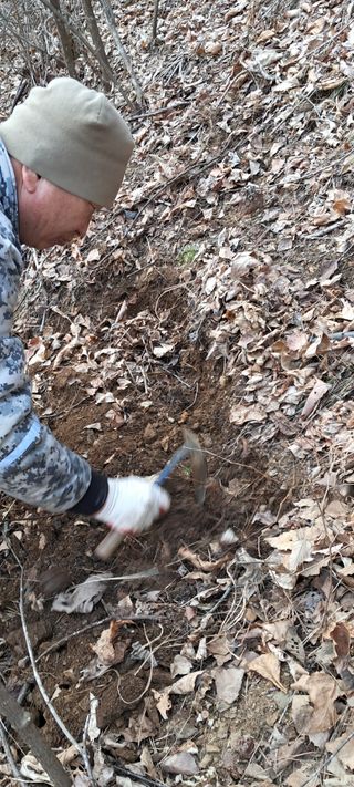 자연애 대풍농장님의 기타작물 · 영농일지 작성글 사진