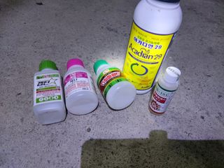 최병석님의 기타작물 · 영농일지 작성글 사진