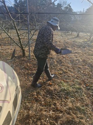 백운농원 님의 기타작물 · 영농일지 작성글 사진