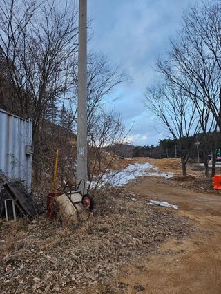 스산촌놈님의 기타작물 · 영농일지 작성글 사진
