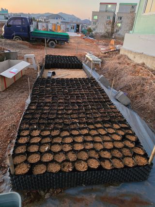 큐체리원님의 기타작물 · 영농일지 작성글 사진