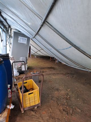 윤은성님의 기타작물 · 영농일지 작성글 사진