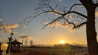 초보농부님의 기타작물 · 영농일지 작성글 사진
