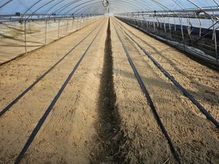 김동식님의 기타작물 · 영농일지 작성글 사진