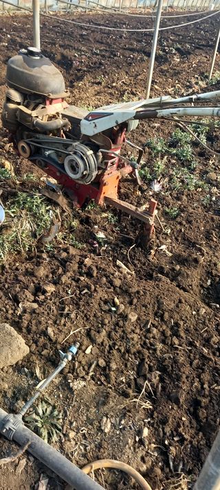 오석태님의 기타작물 · 영농일지 작성글 사진