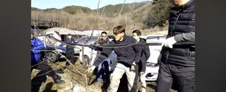 큐체리원님의 기타작물 · 영농일지 작성글 사진