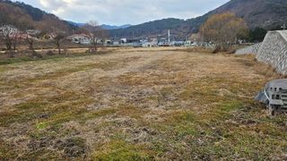 MJ님의 기타작물 · 영농일지 작성글 사진