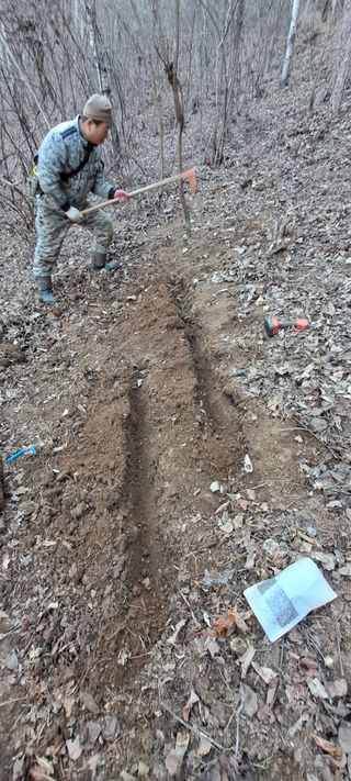 자연애 대풍농장님의 기타작물 · 영농일지 작성글 사진