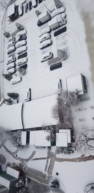 수원농군님의 기타작물 · 영농일지 작성글 사진