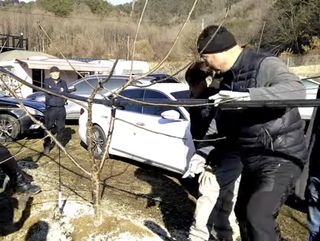 큐체리원님의 기타작물 · 영농일지 작성글 사진