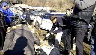 큐체리원님의 기타작물 · 영농일지 작성글 사진