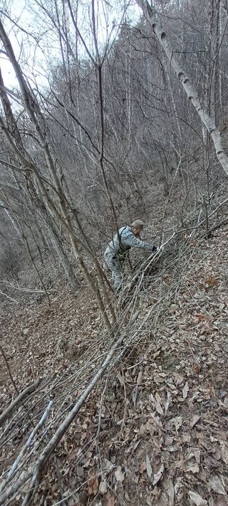 자연애 대풍농장님의 기타작물 · 영농일지 작성글 사진