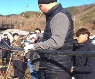 큐체리원님의 기타작물 · 영농일지 작성글 사진