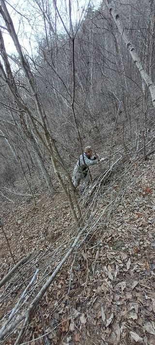 자연애 대풍농장님의 기타작물 · 영농일지 작성글 사진