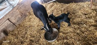 김재일님의 기타작물 · 영농일지 작성글 사진