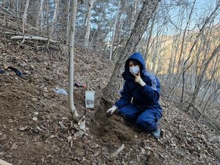 자연애 대풍농장님의 기타작물 · 영농일지 작성글 사진