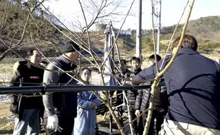 큐체리원님의 기타작물 · 영농일지 작성글 사진