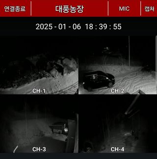 자연애 대풍농장님의 기타작물 · 영농일지 작성글 사진