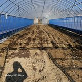 팜모닝 기타작물·영농일지 게시글 이미지