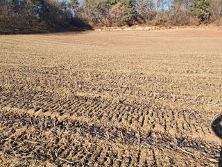 호동방인삼농장님의 기타작물 · 영농일지 작성글 사진