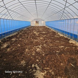 박용열조물주님 님의 기타작물 · 영농일지 작성글 사진