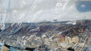 김호열님의 기타작물 · 영농일지 작성글 사진