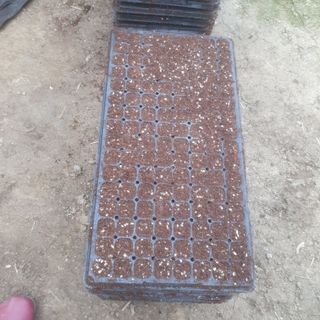 오선환님의 고추 · 영농일지 작성글 사진