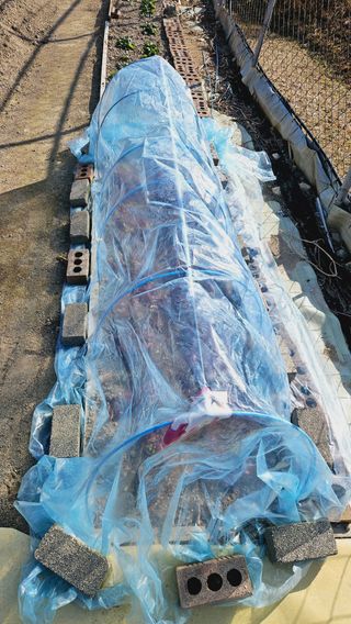 김호열님의 기타작물 · 영농일지 작성글 사진