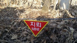 이종선님의 기타작물 · 영농일지 작성글 사진