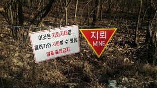 이종선님의 기타작물 · 영농일지 작성글 사진