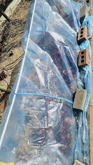 김호열님의 기타작물 · 영농일지 작성글 사진