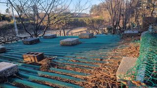 권혁렬님의 기타작물 · 영농일지 작성글 사진