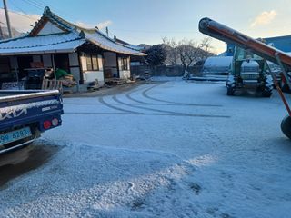 부창수님의 기타작물 · 영농일지 작성글 사진