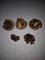 팜모닝 기타작물·영농일지 게시글 이미지