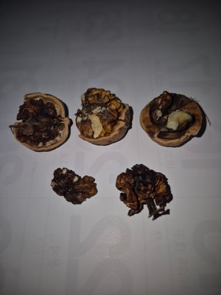 별암님의 기타작물 · 영농일지 작성글 사진