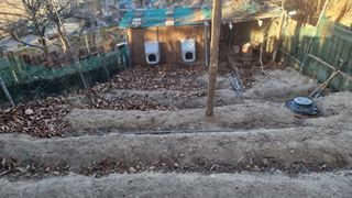 권혁렬님의 기타작물 · 영농일지 작성글 사진