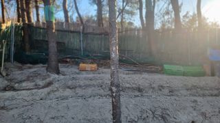 권혁렬님의 기타작물 · 영농일지 작성글 사진