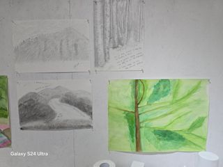 김종협님의 기타작물 · 영농일지 작성글 사진