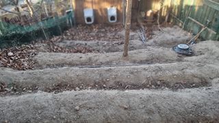 권혁렬님의 기타작물 · 영농일지 작성글 사진