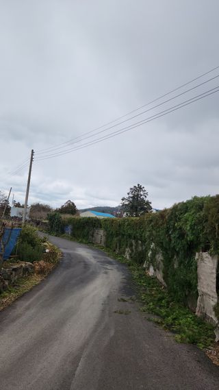 김행복님의 귤 · 영농일지 작성글 사진