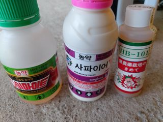 최병석님의 기타작물 · 영농일지 작성글 사진