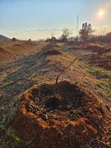 팜모닝 기타작물·영농일지 게시글 이미지