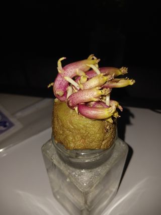 골탄님의 기타작물 · 영농일지 작성글 사진