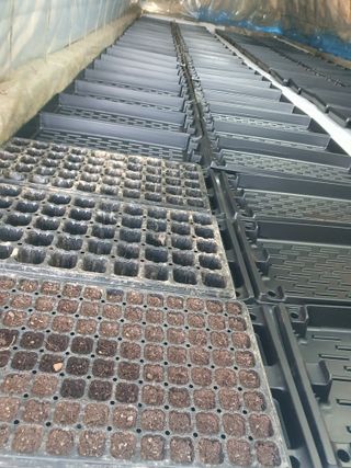 정봉원님의 고추 · 영농일지 작성글 사진