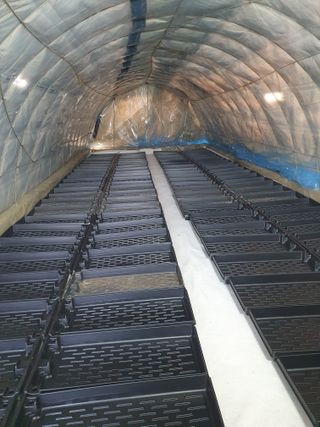 정봉원님의 고추 · 영농일지 작성글 사진